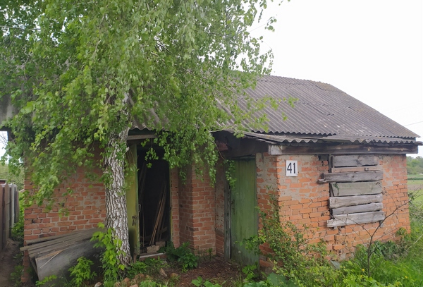 Фотографія
